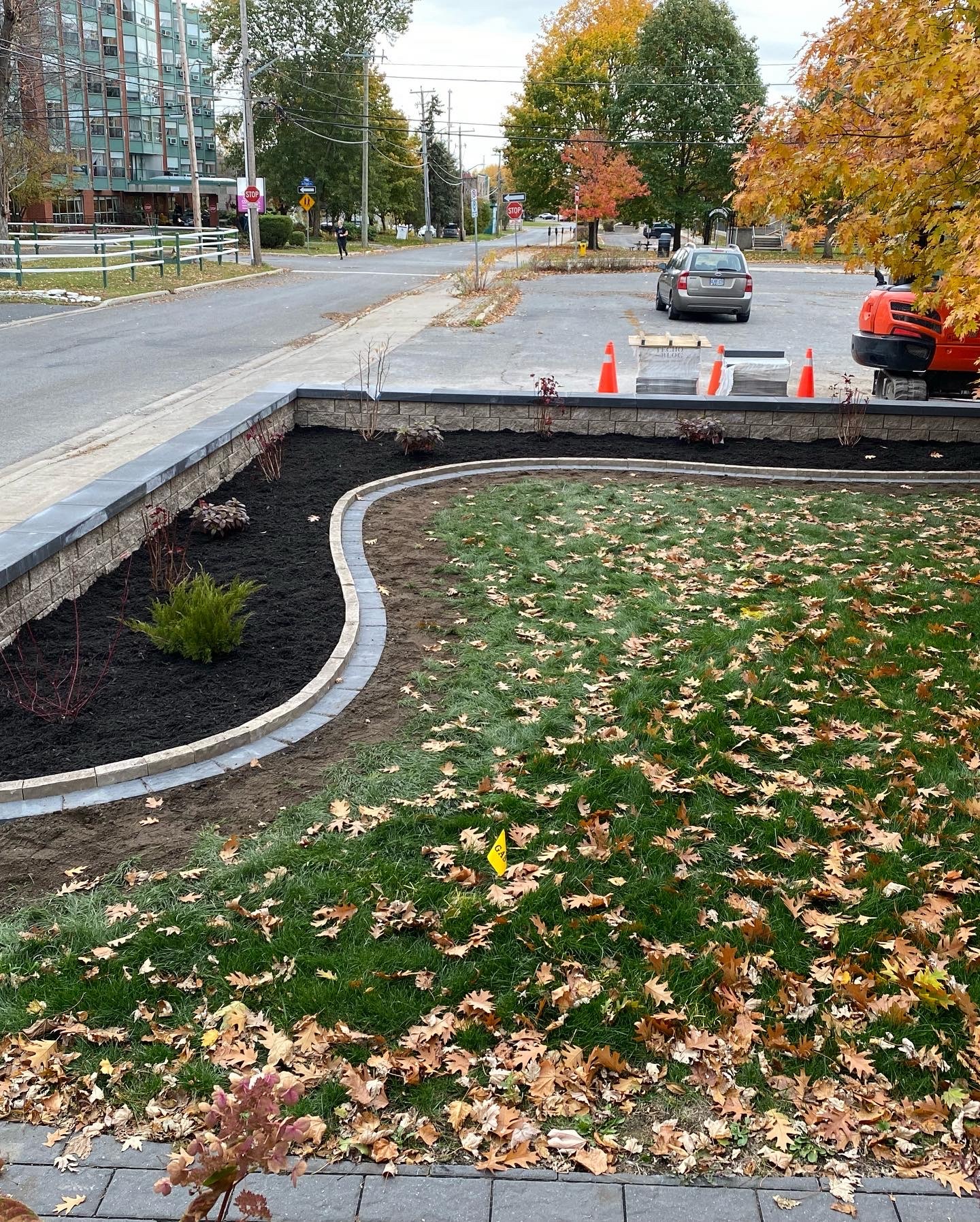 Autumn leaves on landscaped garden with road in background.