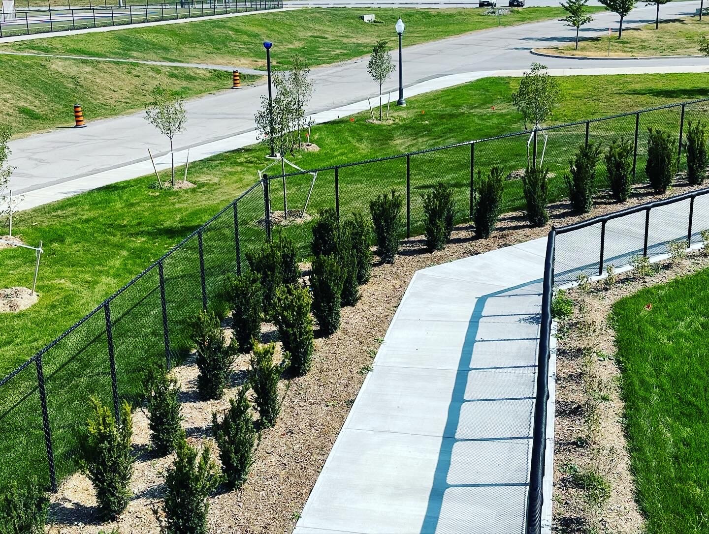 Pathway beside fence with small trees, sunny day.