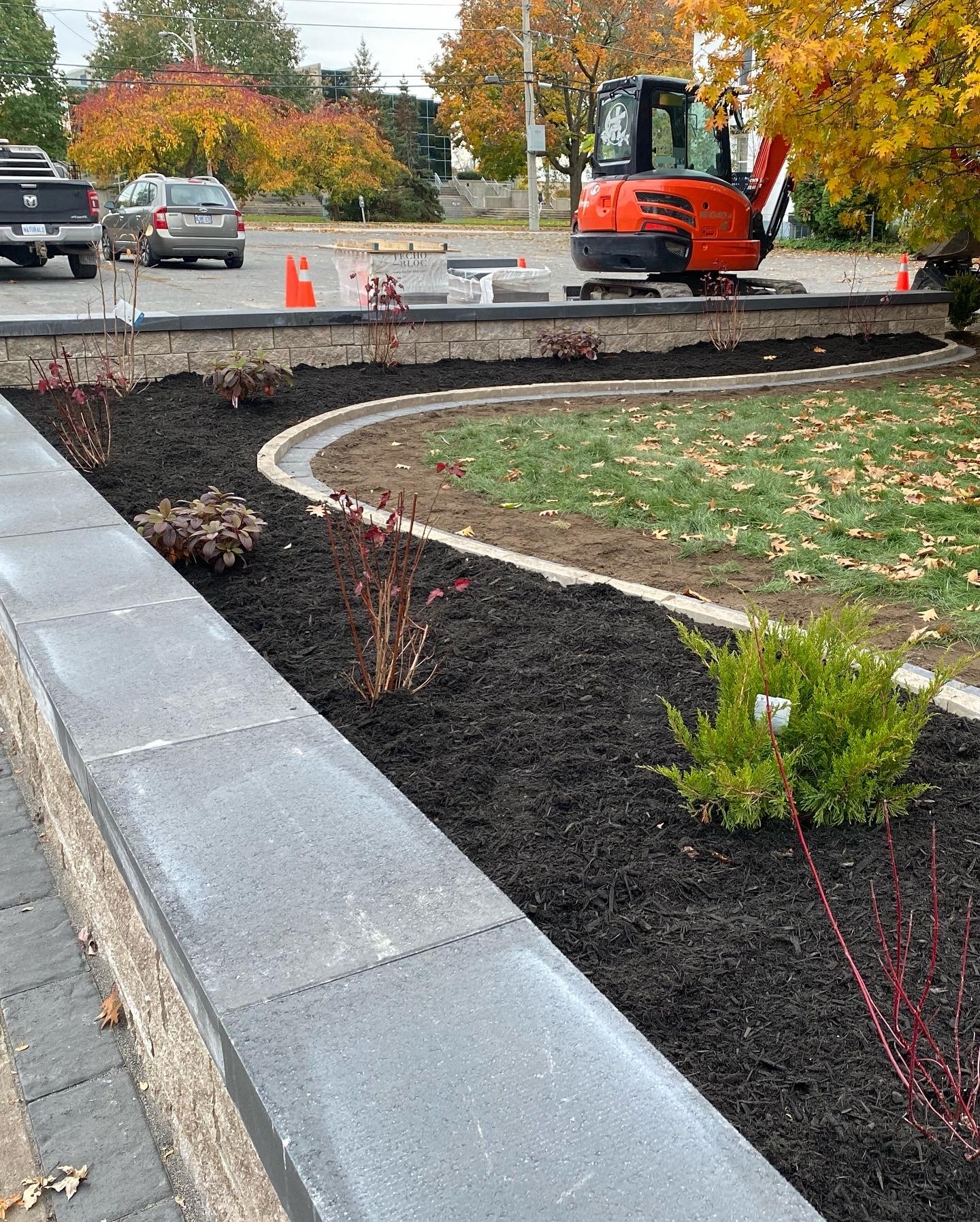 Landscaped garden with mulch and ornamental plants.