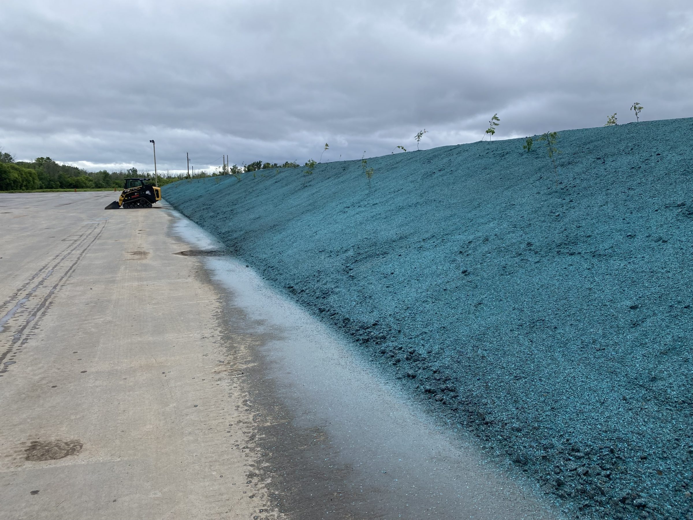 Hydroseed landscape with construction vehicle nearby.