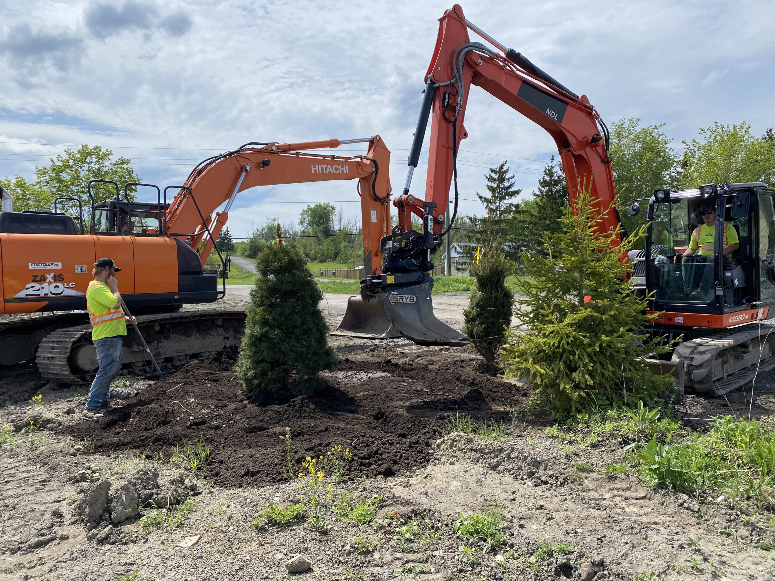 Workers planting trees with excavators in a park.