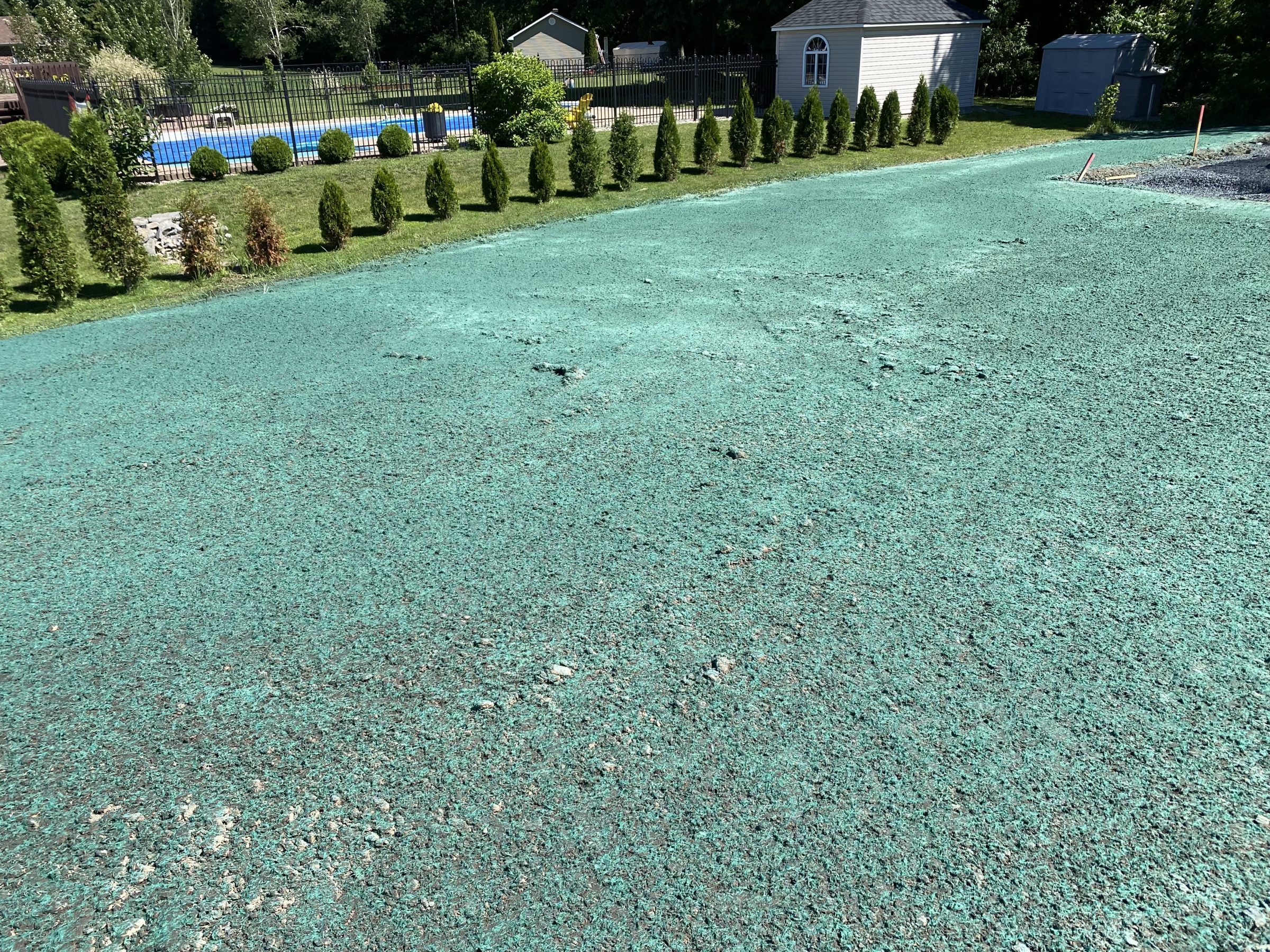 Lawn with hydroseeding in a backyard garden.