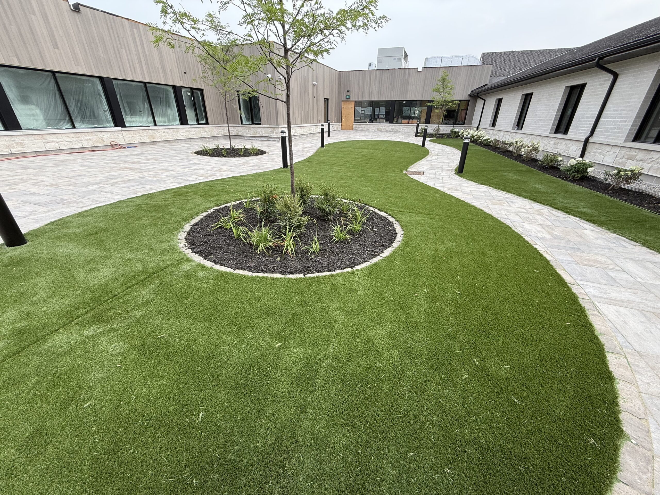Modern landscaped courtyard with grass and walkway.
