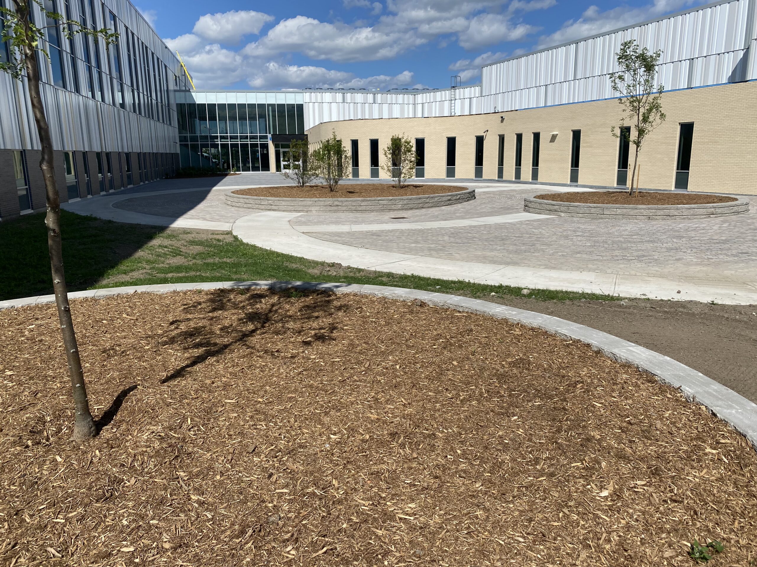 Modern school courtyard with circular walkways under blue sky.
