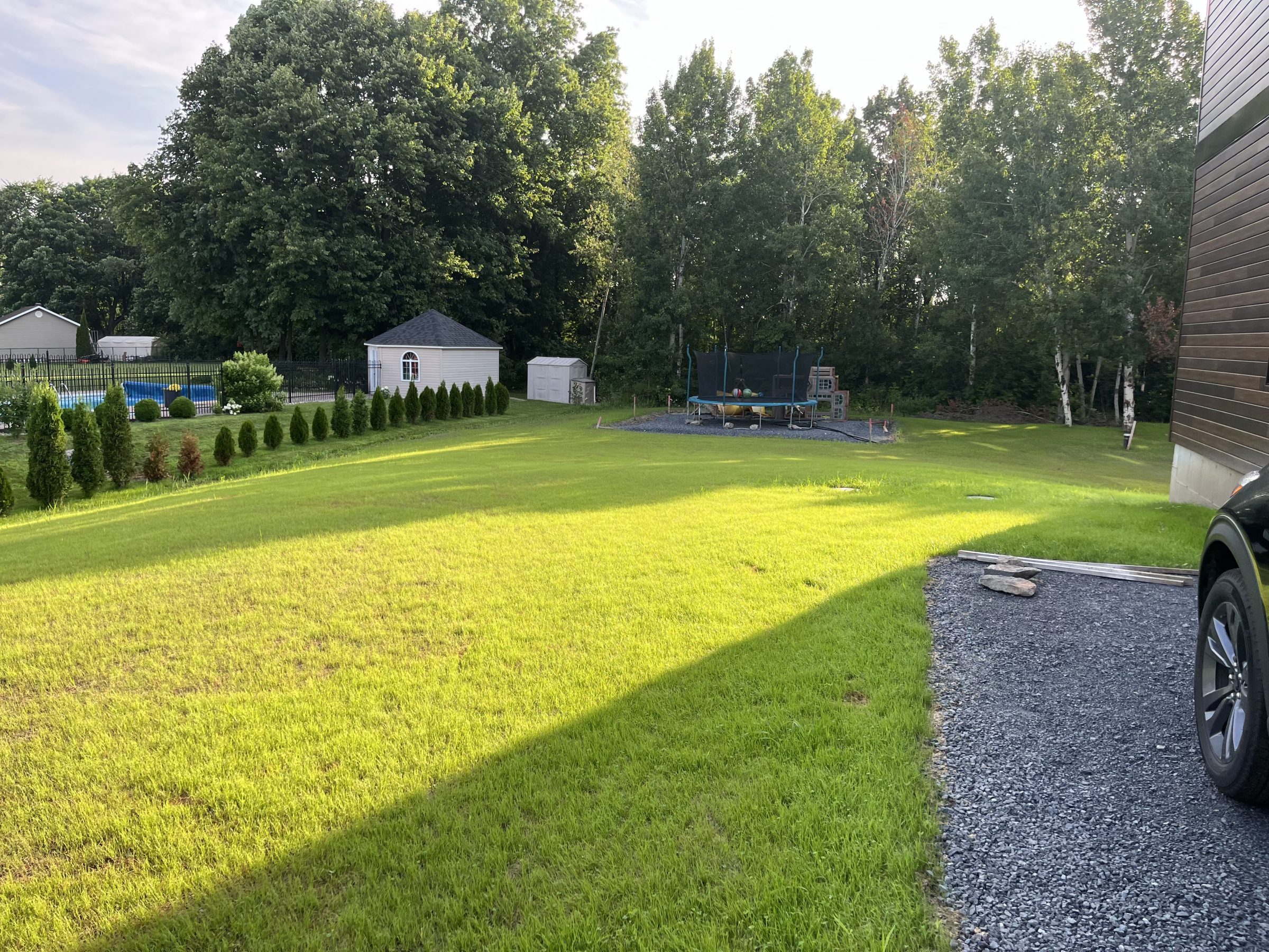 Backyard with trampoline, trees, and shed.