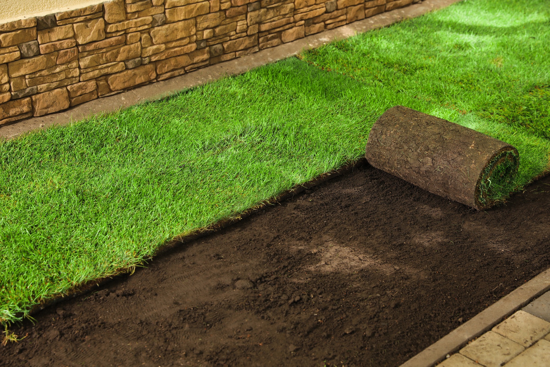 Laying rolled sod on soil next to stone wall.
