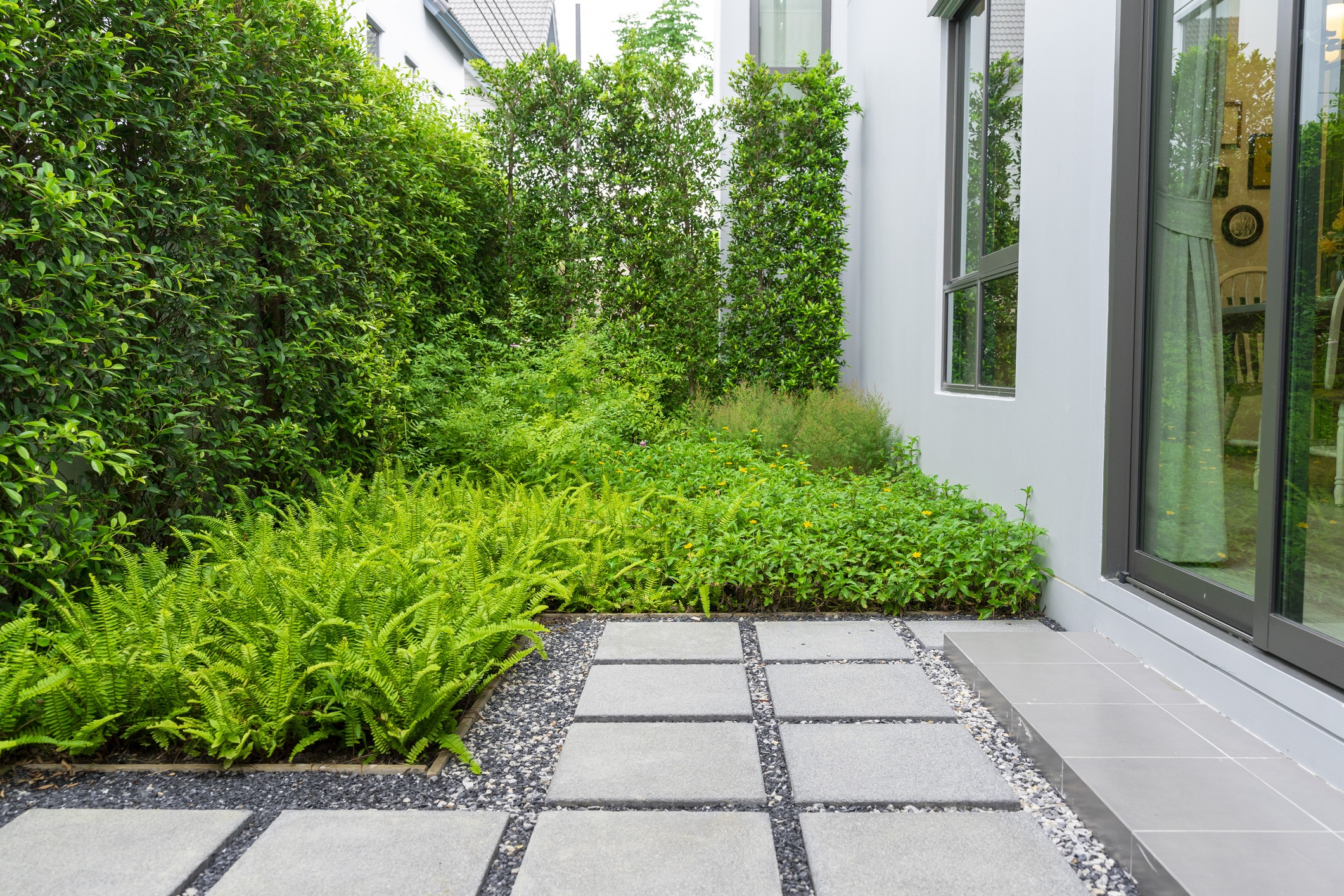 Modern garden with ferns and stone path