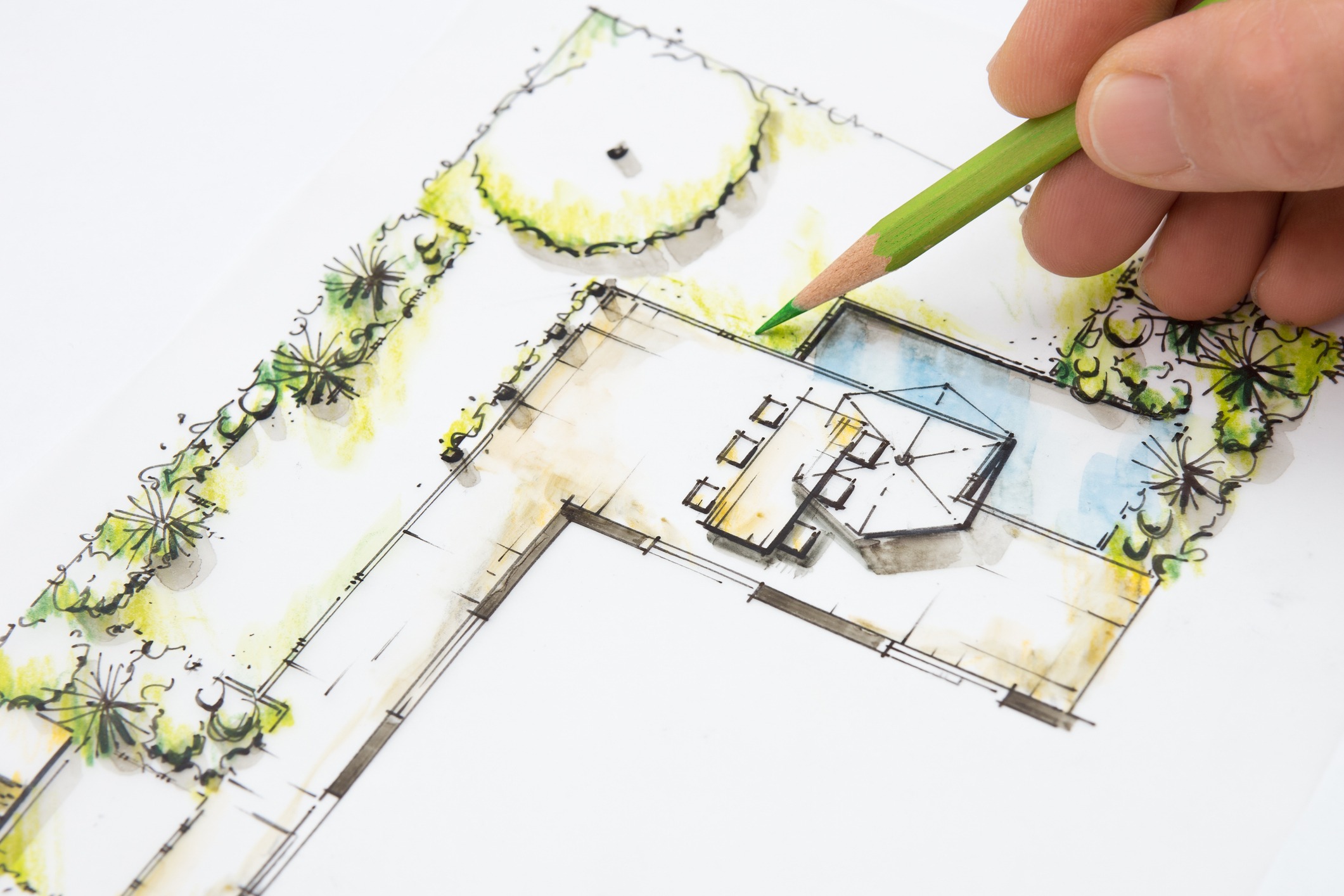 Person drawing architectural garden plan with pencil.