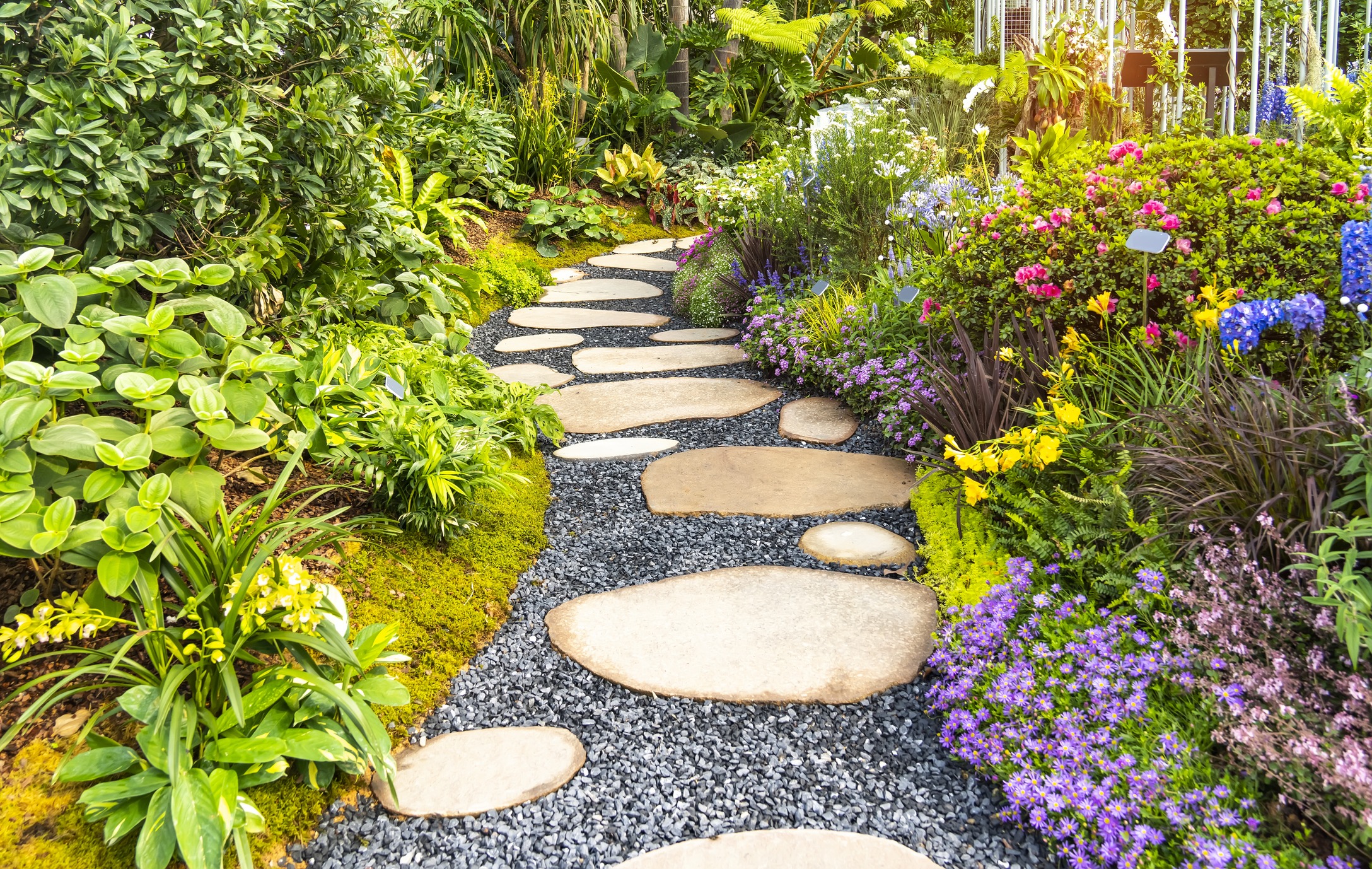 Stone garden path surrounded by colorful flowers.