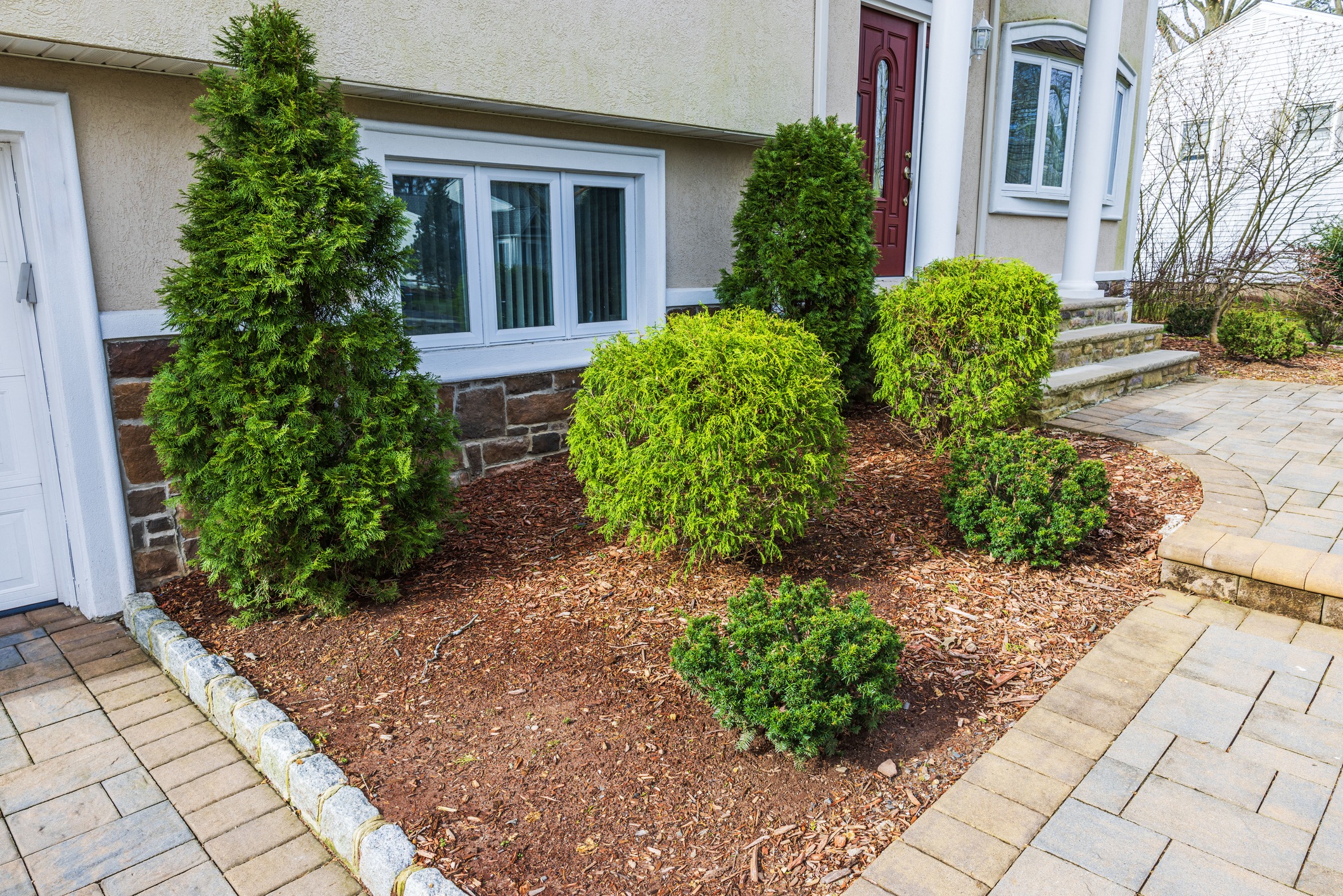 Landscaped front yard with shrubs and walkway.