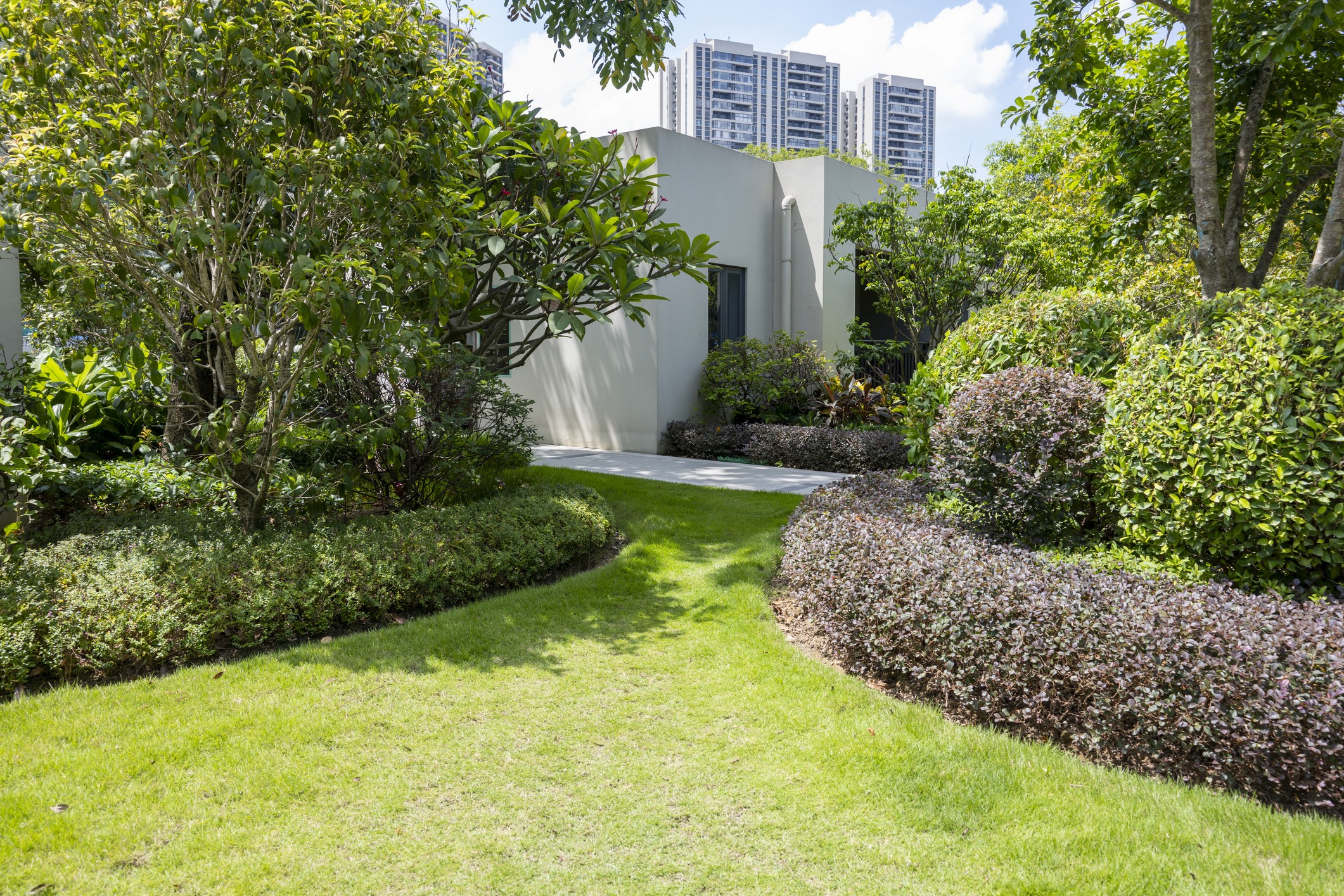 Lush garden path with modern building and skyscrapers.