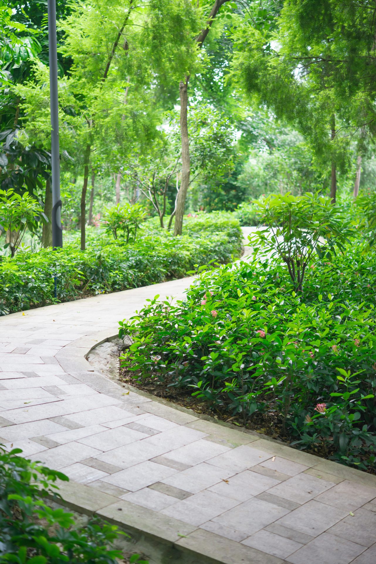 Curved garden pathway surrounded by lush greenery.