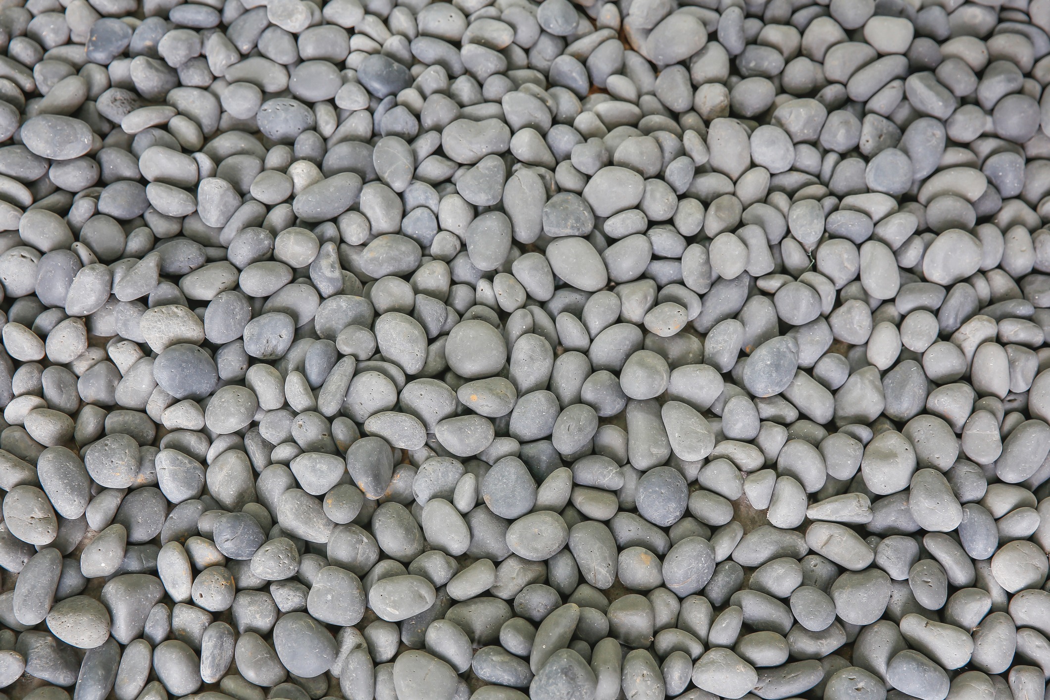 Close-up of smooth gray pebbles.