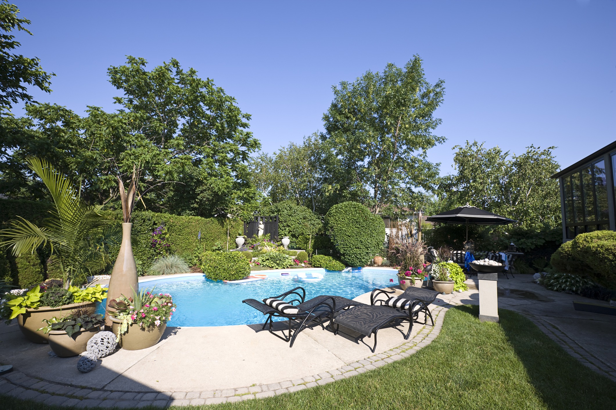 Lush backyard with pool and lounge chairs.